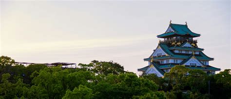 城頭土 性格|城頭土【じょうとうど・じょうとうつち】